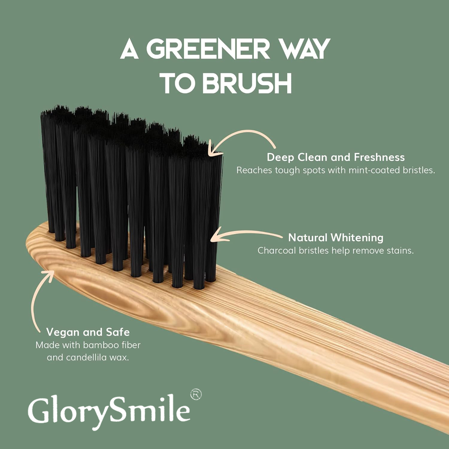 1/4 Stück Bambus-Zahnbürsten – – Bamboo Toothbrush Set Bewertung und Preis