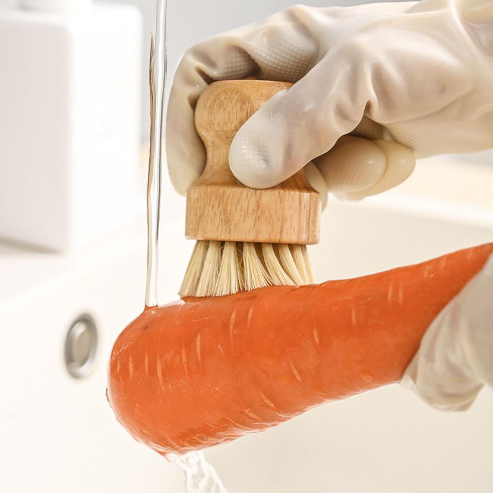 Küchenreinigungsbürste aus Hol – Dish Brush Bamboo Bewertung und Preis